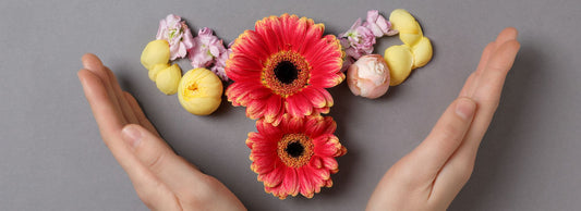 🌺 Menopausia y Placer: Guía Completa para Cuidar tu Bienestar Sexual