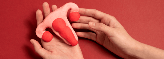 😲 ¿Sabías que el clítoris tiene más de 8.000 terminaciones nerviosas? ¡Te contamos TODO sobre la anatomía del placer femenino! - Kinkyloov