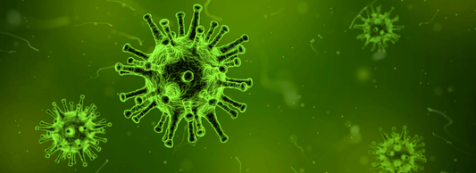 Virus del Papiloma Humano (VPH) 🦠 | Todo lo que debes saber - Kinkyloov