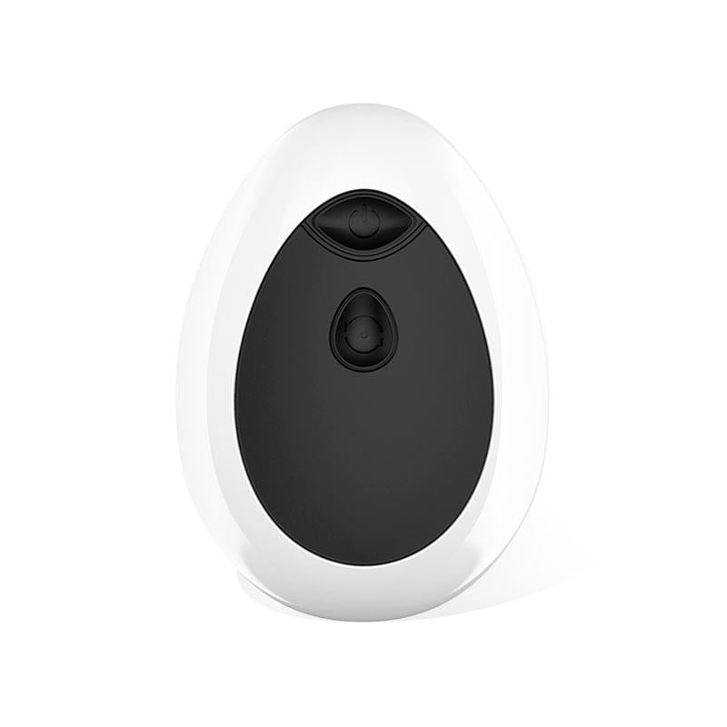 Dwen Estimulador Prostático USB con Control Remoto - Kinkyloov