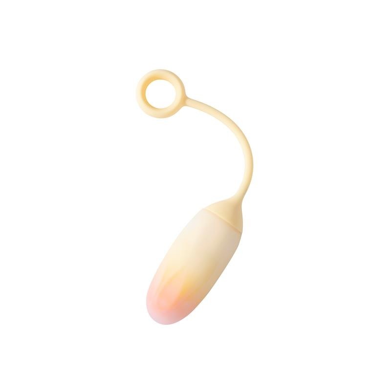 Huevo con APP Silicona Doble Capa Degradado - Kinkyloov