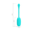 Huevo Vibrador Kirk Silicona USB - Kinkyloov